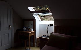 Forest View